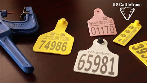 rfid cattle tags|official usda cattle id tags.